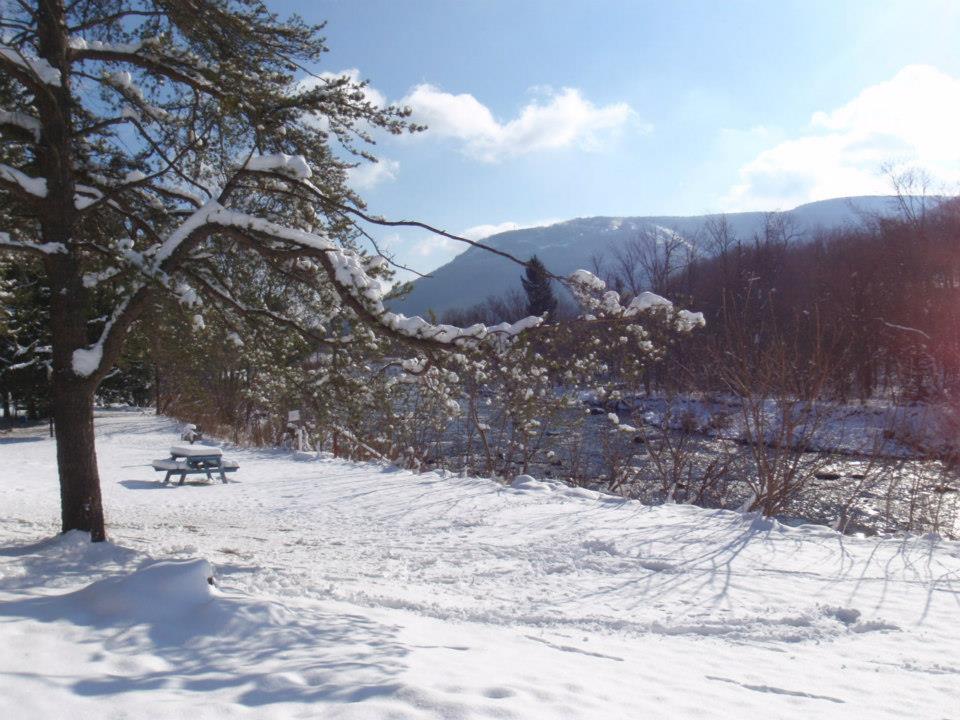 Hunter View Lodging Екстериор снимка