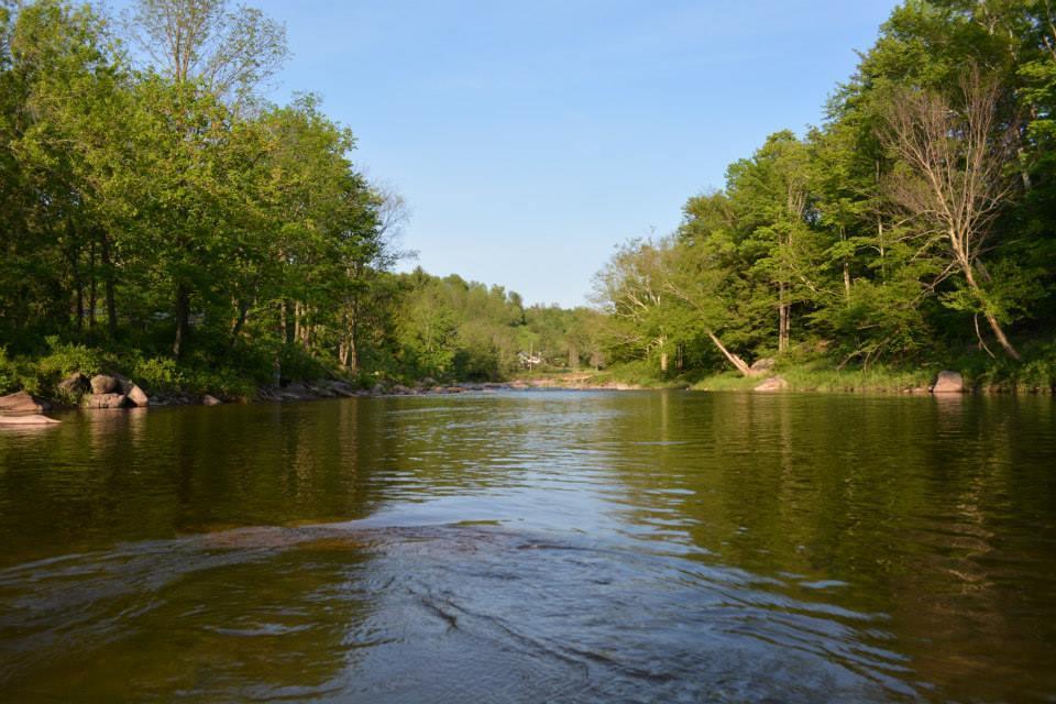 Hunter View Lodging Екстериор снимка